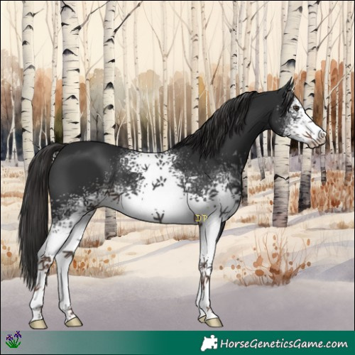 Horse Color:White Spotted Liver Chestnut 