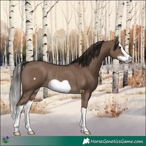 Horse Color:Liver Red Dun Splash Frame Rabicano 