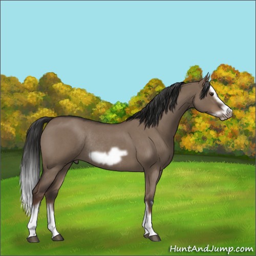 Horse Color:Liver Red Dun Roan Splash Frame Rabicano 