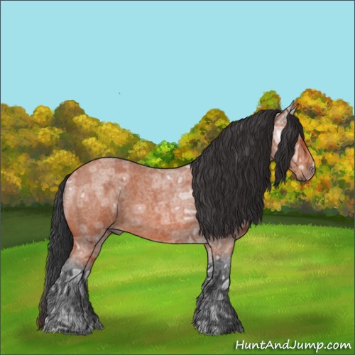 Horse Color:Brown Ice Roan 