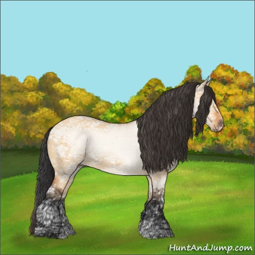 Horse Color:Bay Ice Dun Sabino 