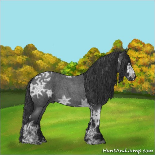 Horse Color:Blue Ice Roan 