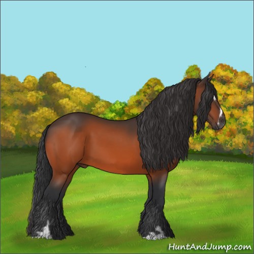 Horse Color:Brown Sabino 