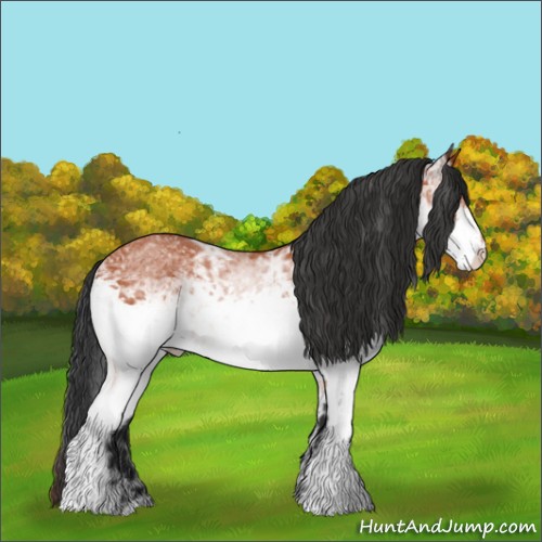 Horse Color:White Spotted Bay Ice 