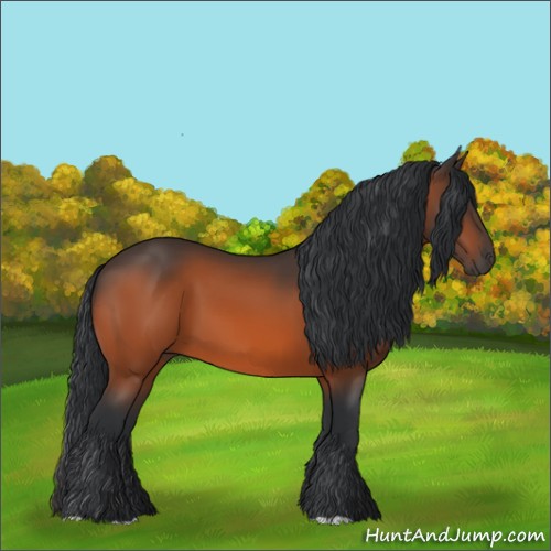 Horse Color:Brown 