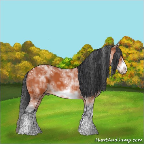 Horse Color:White Spotted Bay Ice Frame 