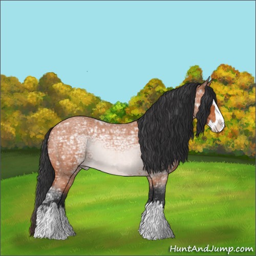 Horse Color:Bay Ice Roan Splash 