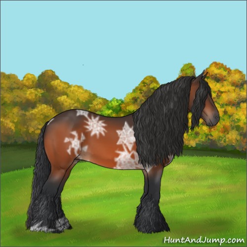 Horse Color:Bay Ice 