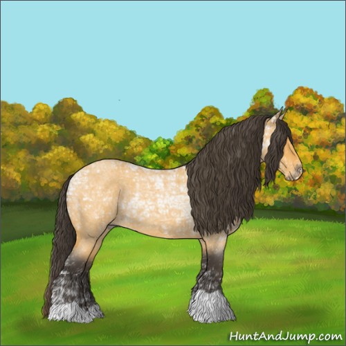 Horse Color:Buckskin Ice Roan 