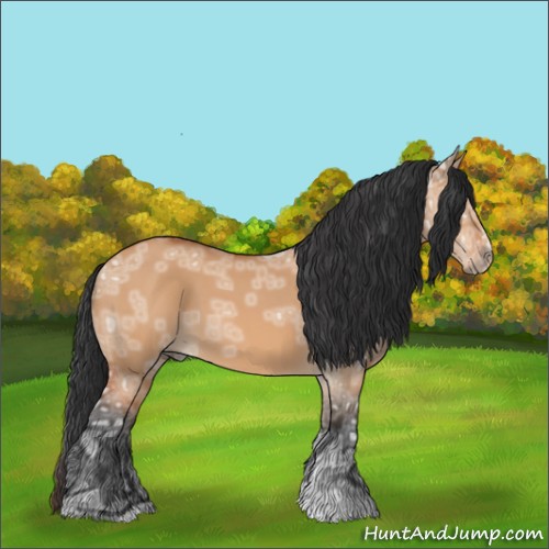 Horse Color:Bay Ice Dun 