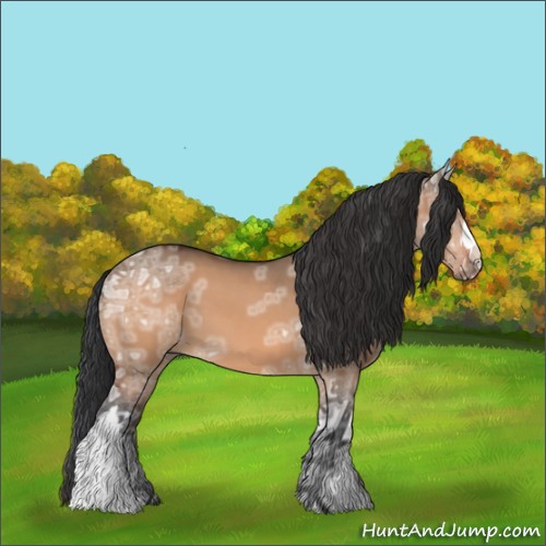 Horse Color:Brown Ice Dun 