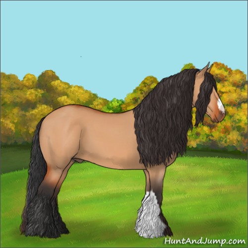Horse Color:Bay Dun 