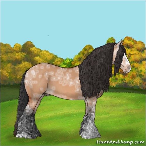 Horse Color:Brown Ice Dun 