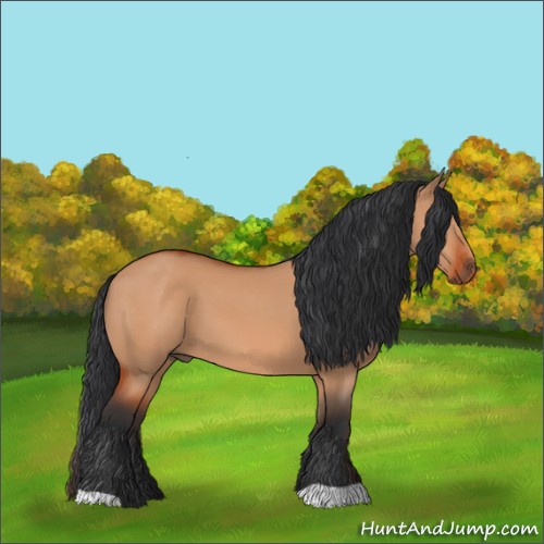 Horse Color:Bay Dun 