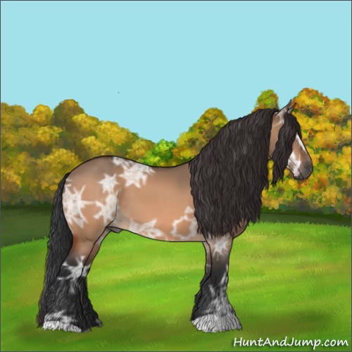 Horse Color:Bay Ice Dun 