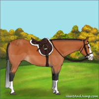 Horse Color:Bay Splash