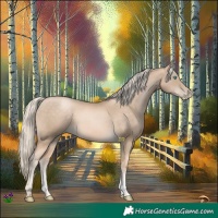 Horse Color:Chocolate Palomino Pearl Sabino 