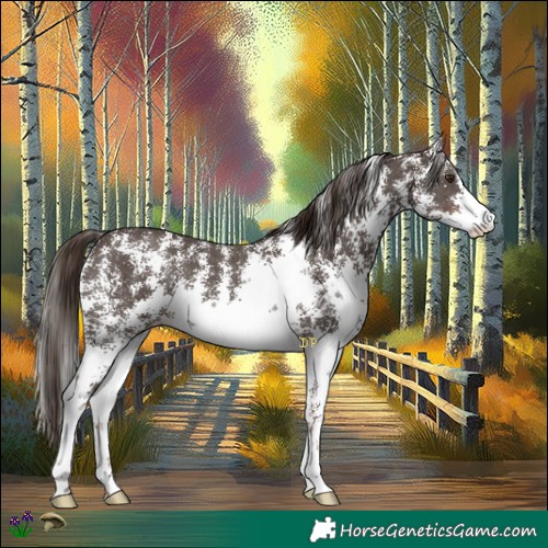 Horse Color:Liver Chestnut Sabino 