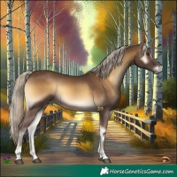 Horse Color:Chocolate Palomino Onyx 