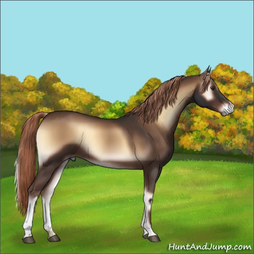 Horse Color:Liver Red Onyx 