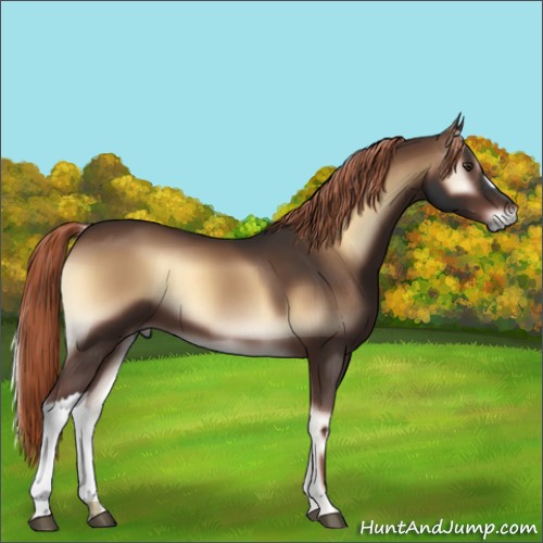 Horse Color:Liver Red Onyx 