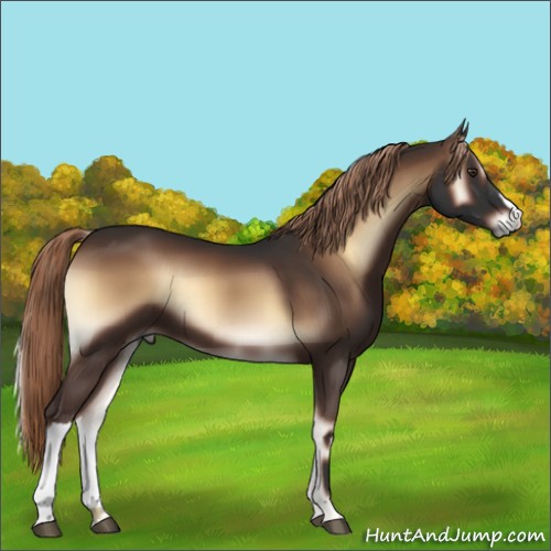 Horse Color:Liver Red Onyx 