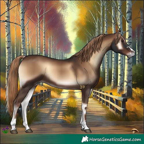 Horse Color:Liver Red Onyx