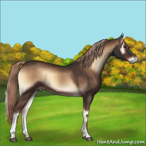 Horse Color:Liver Red Onyx 