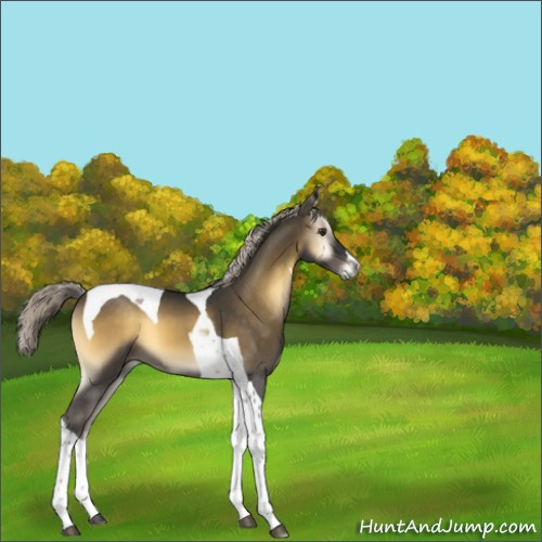 Horse Color:Chocolate Palomino Onyx Mushroom Tobiano 