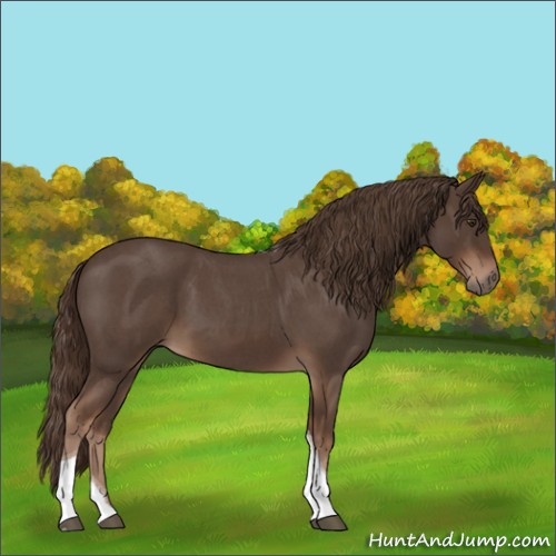 Horse Color:Liver Red Roan Tobiano 