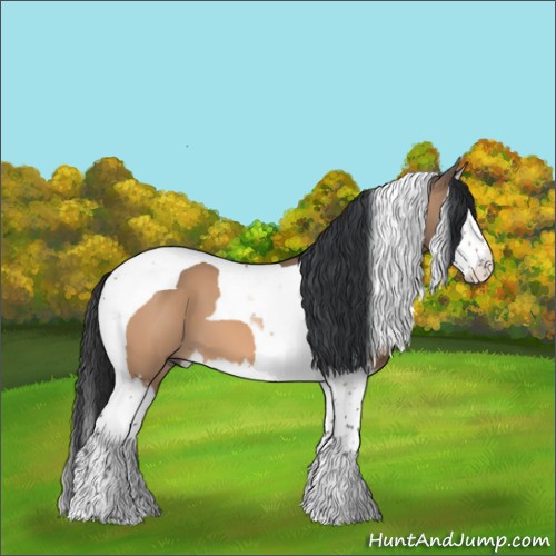 Horse Color:Bay Dun Splash Tobiano 