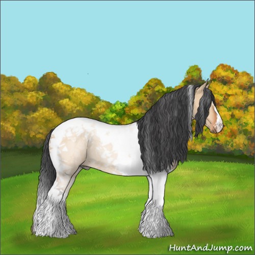 Horse Color:Bay Dun Tobiano Rabicano 