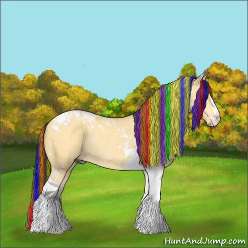 Horse Color:Painted Buckskin Dun Tobiano Rabicano 