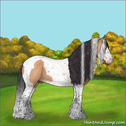 Horse Color:Bay Dun Splash Tobiano 