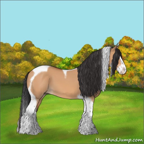 Horse Color:Bay Dun Splash Tobiano 