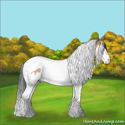 Horse Color:Bay Dun Splash Tobiano 