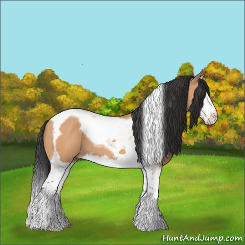 Horse Color:Bay Dun Splash Tobiano 