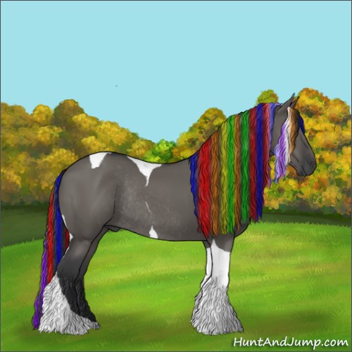 Horse Color:Painted Grullo Tobiano Rabicano 