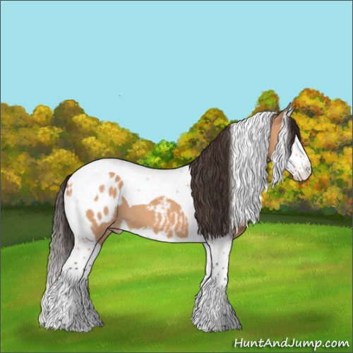 Horse Color:Bay Dun Splash Tobiano Appaloosa 