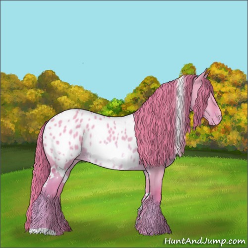 Horse Color:Watercolor White Spotted Red Dun Appaloosa 