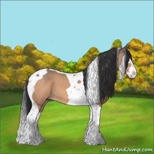 Horse Color:Brown Dun Splash Tobiano 