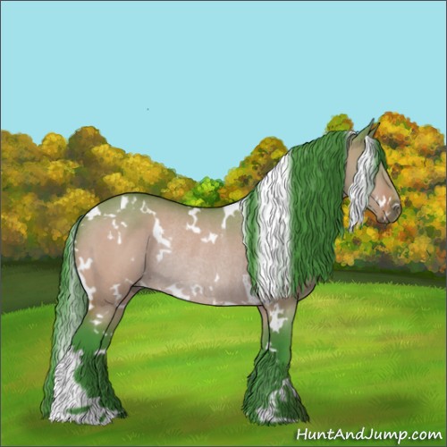 Horse Color:Watercolor White Spotted Bay Dun Rabicano 
