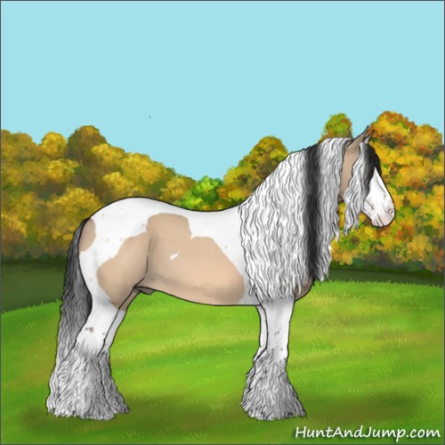 Horse Color:Bay Dun Splash Tobiano 