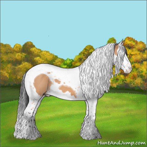 Horse Color:Bay Dun Splash Tobiano 