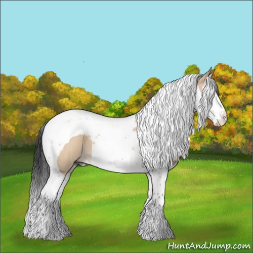 Horse Color:Bay Dun Splash Tobiano 