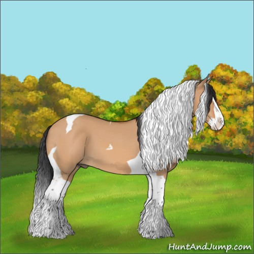 Horse Color:Bay Dun Splash Tobiano 