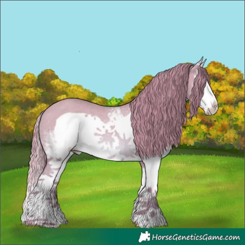 Horse Color:Watercolor White Spotted Red Dun Splash Frame Rabicano 