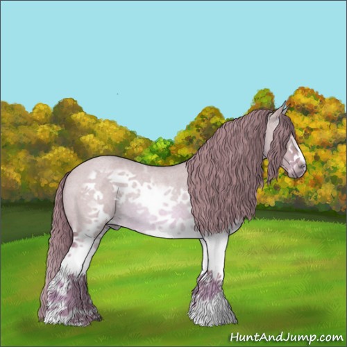Horse Color:Watercolor White Spotted Red Dun Roan Splash Frame Rabicano 
