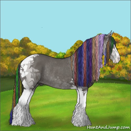 Horse Color:Painted Grullo Sabino Tobiano Rabicano 