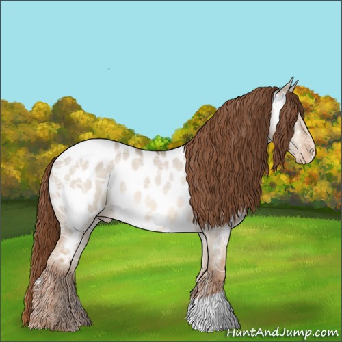 Horse Color:Red Dun Ice Appaloosa Rabicano 